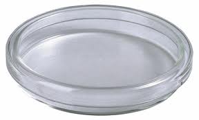 (image for) Petri Dish, Full Plate, with Lid, PS, 60mm, Pk of 100